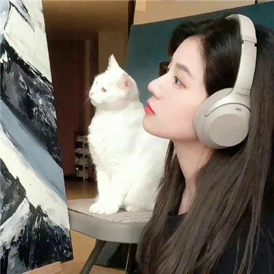 三狼四虎女霸王